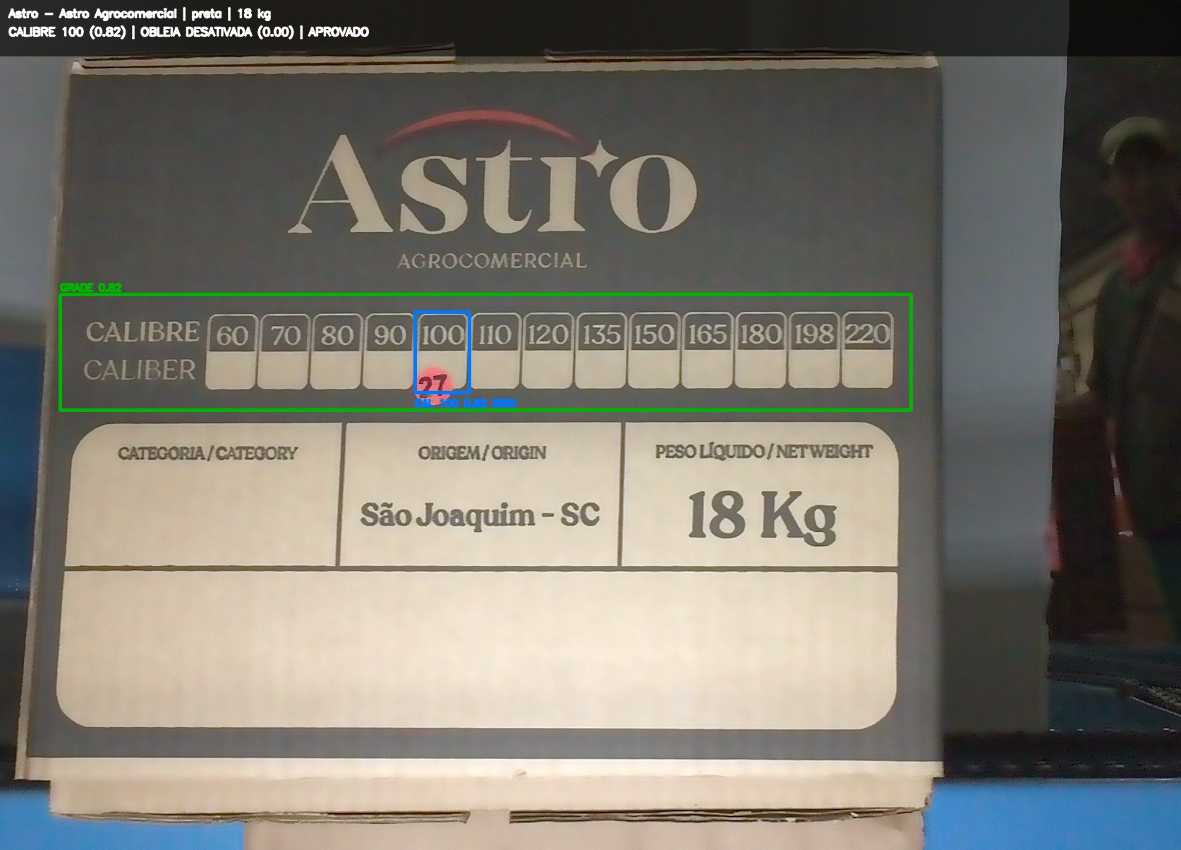Imagem anotada para revisão