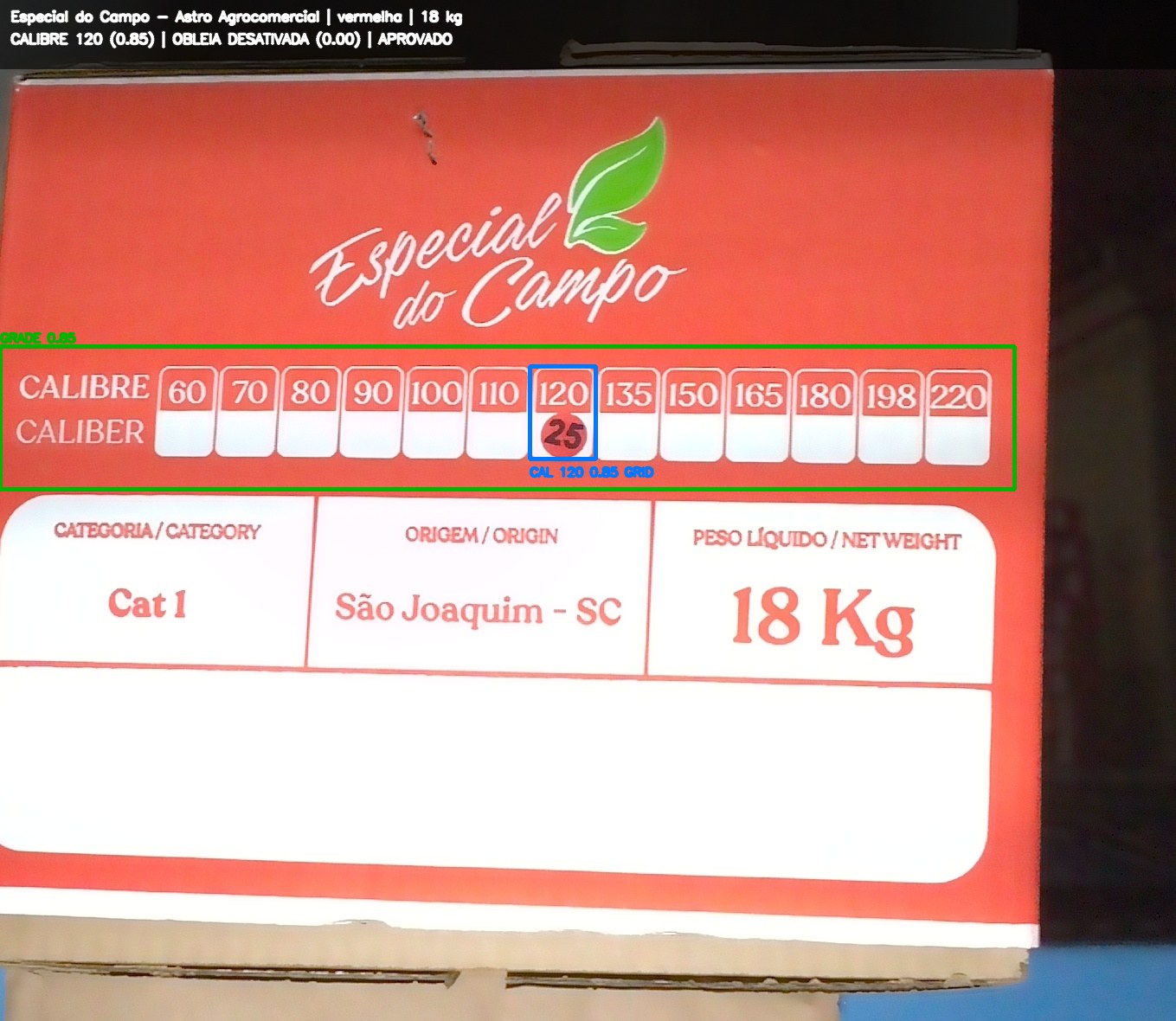 Imagem anotada para revisão