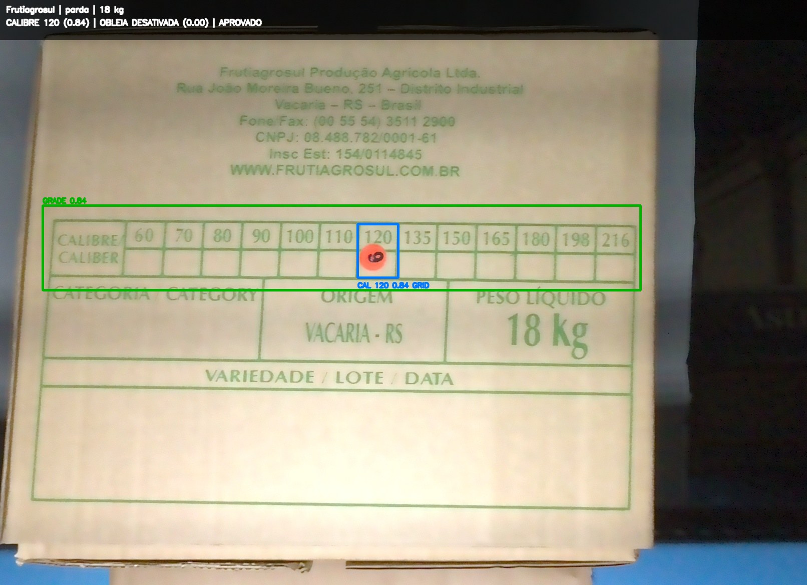 Imagem anotada para revisão