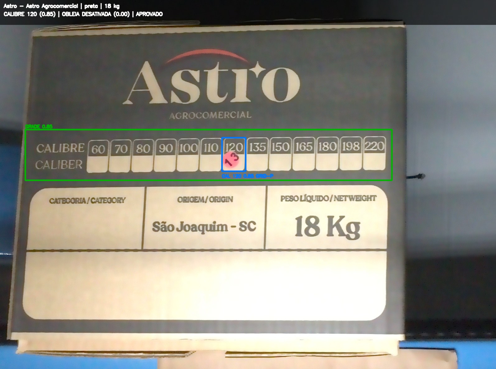 Imagem anotada para revisão