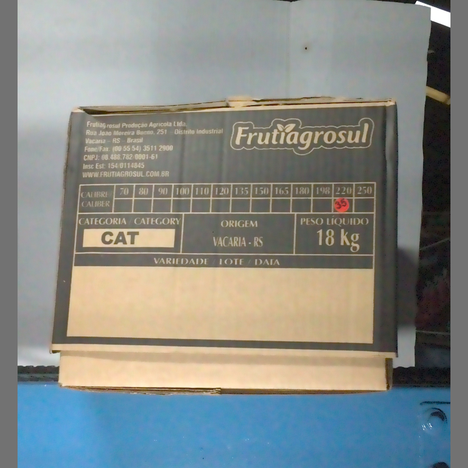 Candidata do calibre · central · 960 utilizado na inferência