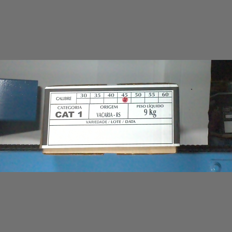 Candidata do calibre · central · 960 utilizado na inferência