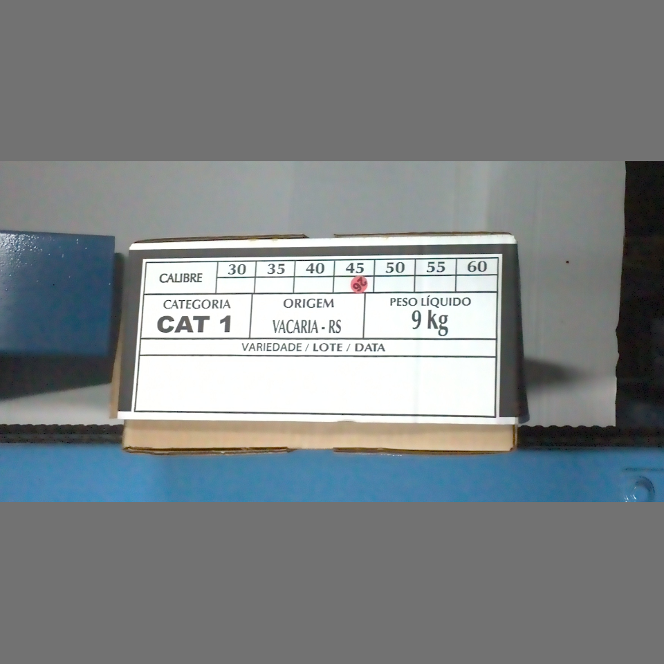 Candidata do calibre · central · 960 utilizado na inferência