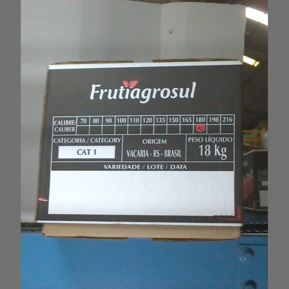 Candidata do calibre · central · 960 utilizado na inferência