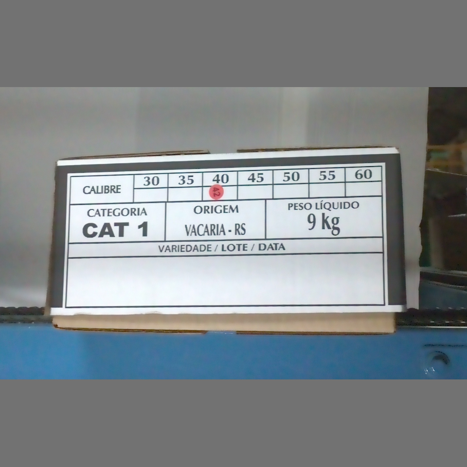 Candidata do calibre · central · 960 utilizado na inferência
