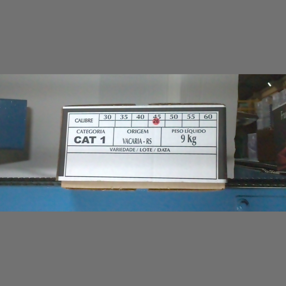 Candidata do calibre · central · 960 utilizado na inferência