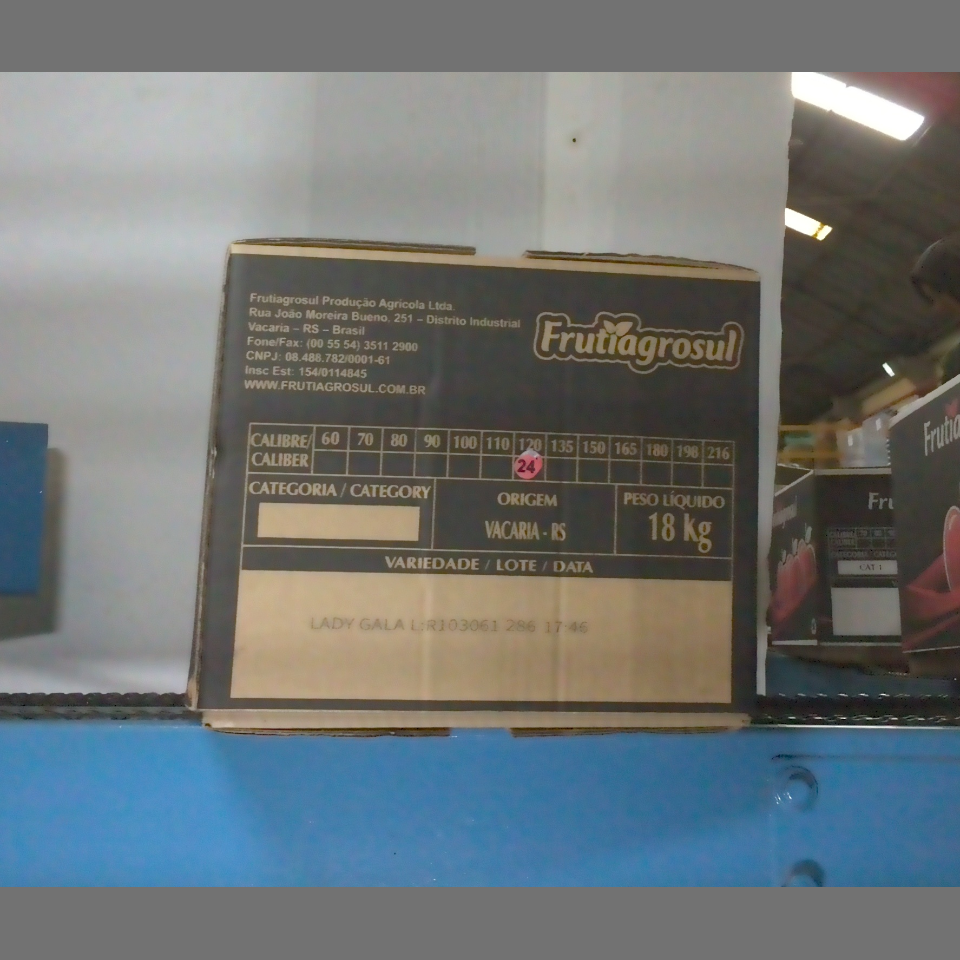 Candidata do calibre · central · 960 utilizado na inferência