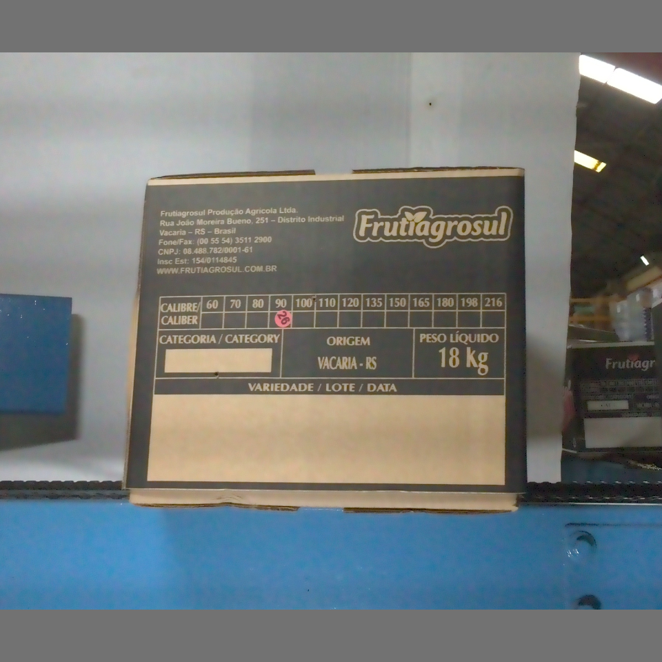 Candidata do calibre · central · 960 utilizado na inferência