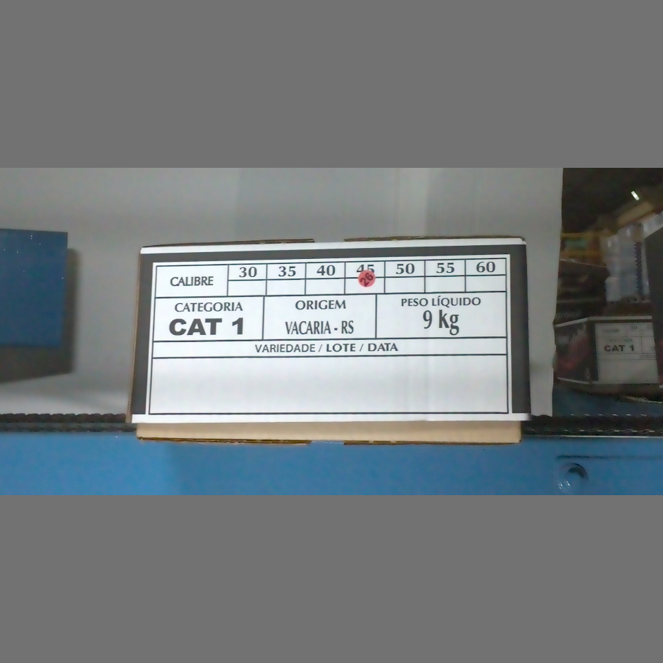 Candidata do calibre · central · 960 utilizado na inferência