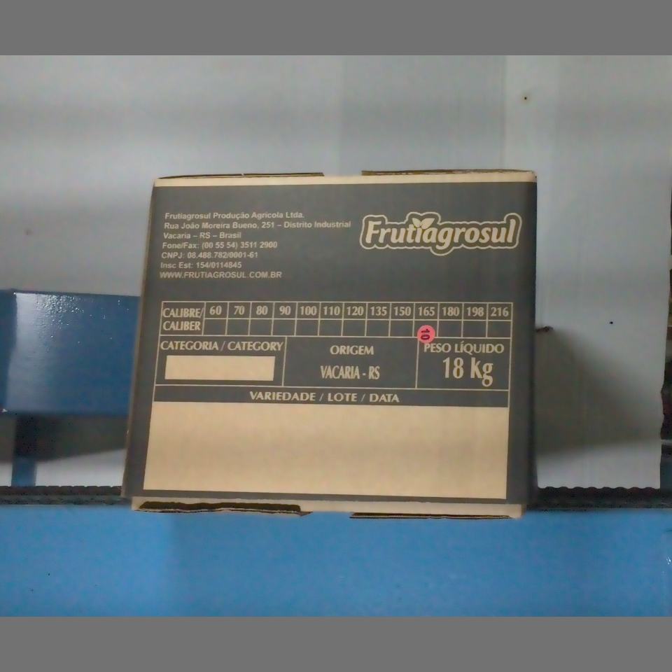Candidata do calibre · central · 960 utilizado na inferência