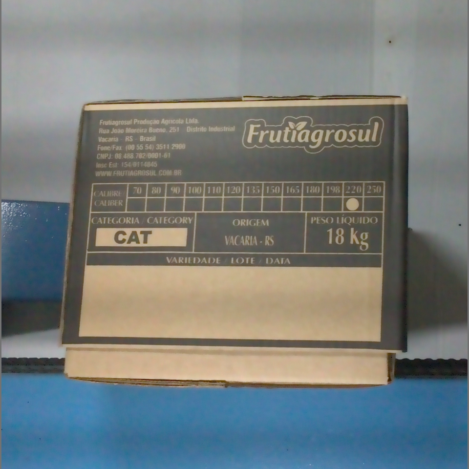 Candidata do calibre · central · 960 utilizado na inferência
