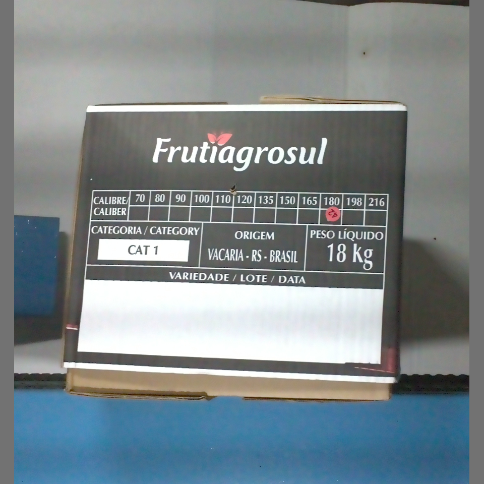 Candidata do calibre · central · 960 utilizado na inferência
