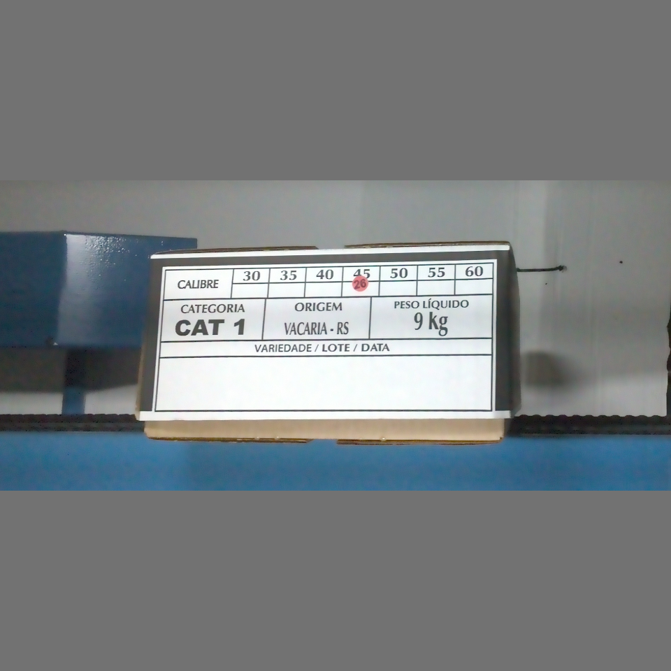 Candidata do calibre · central · 960 utilizado na inferência