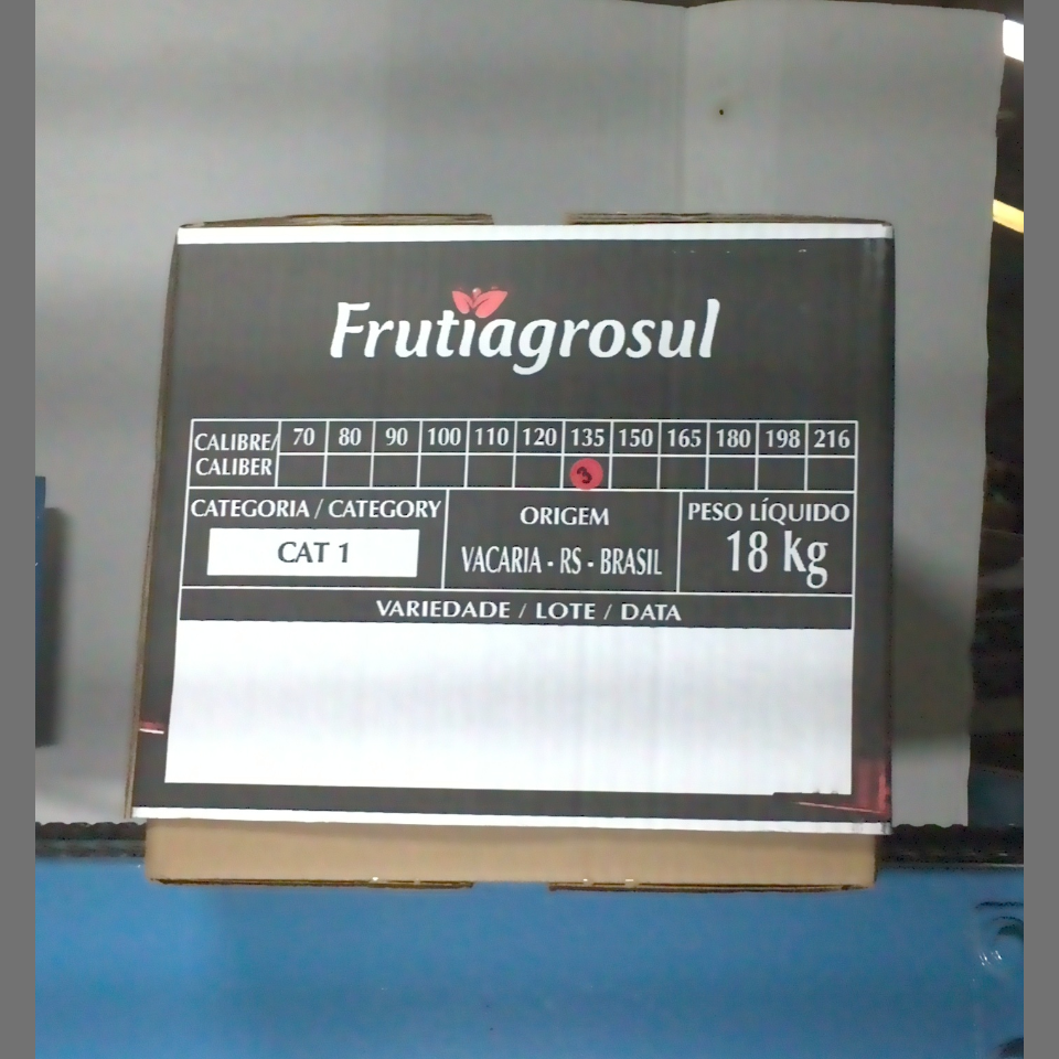 Candidata do calibre · central · 960 utilizado na inferência