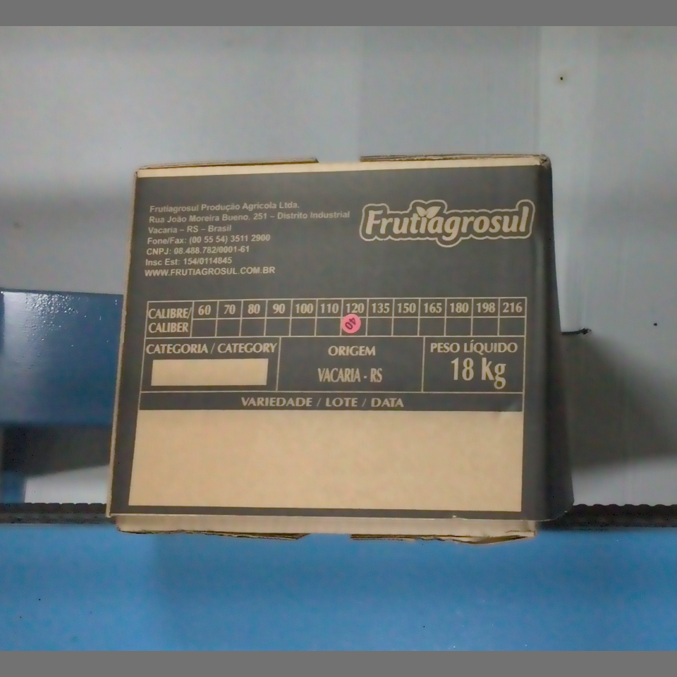 Candidata do calibre · central · 960 utilizado na inferência