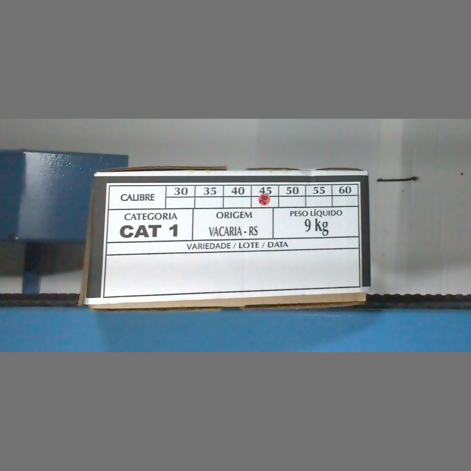 Candidata do calibre · central · 960 utilizado na inferência
