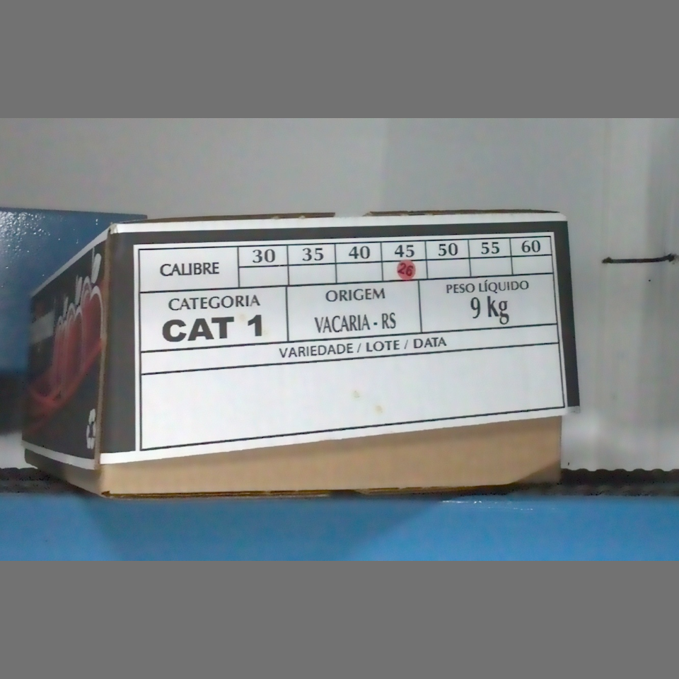 Candidata do calibre · central · 960 utilizado na inferência
