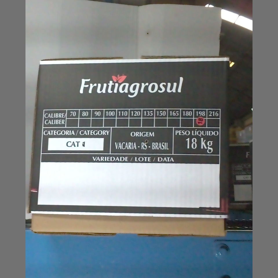 Candidata do calibre · central · 960 utilizado na inferência