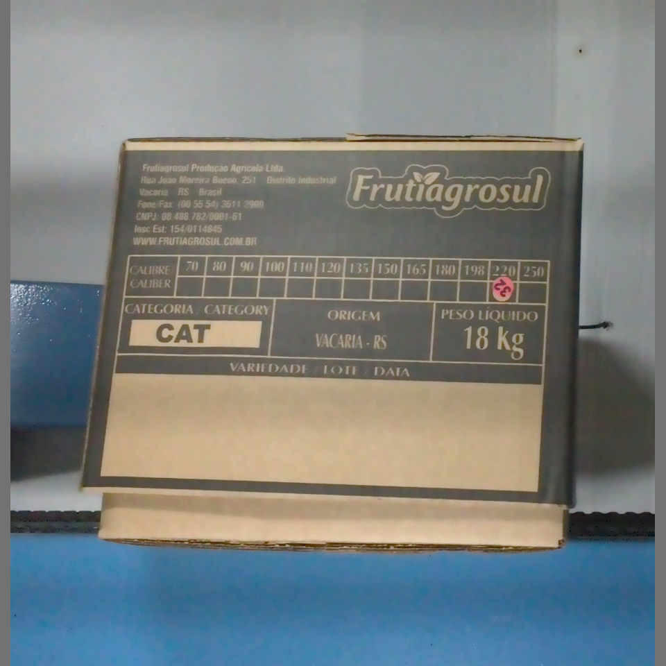 Candidata do calibre · central · 960 utilizado na inferência