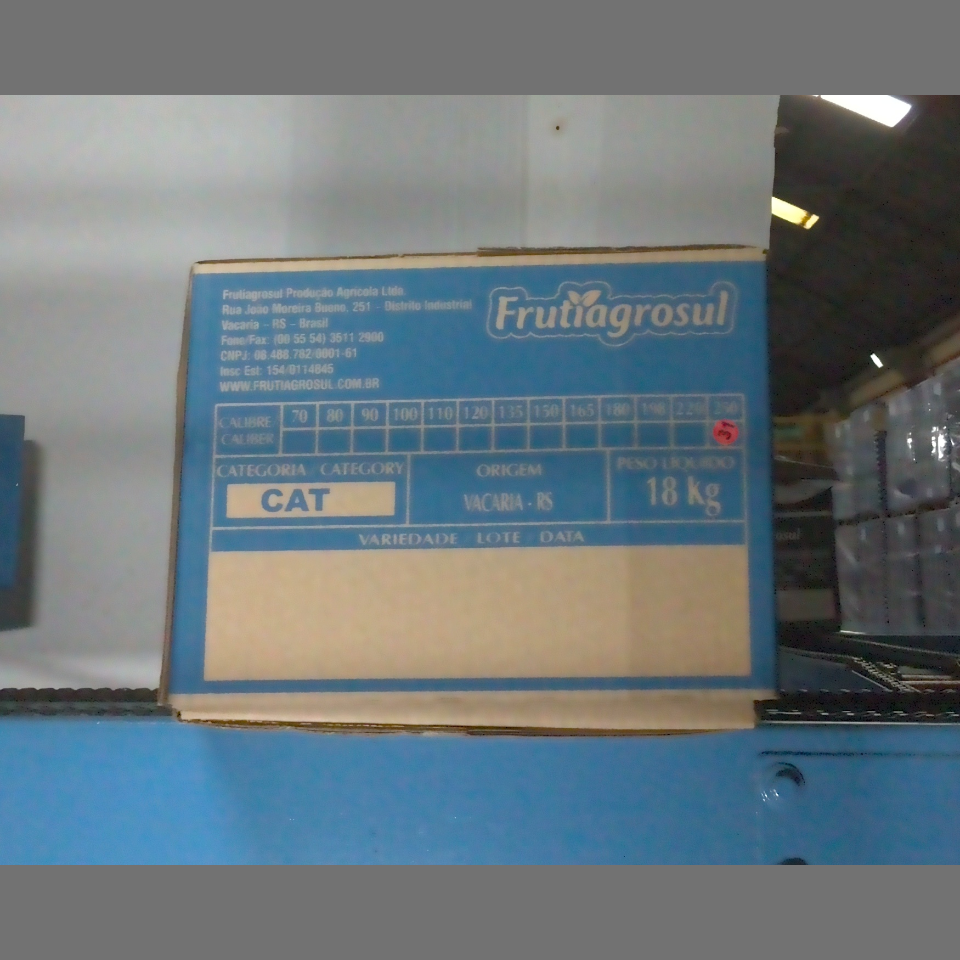 Candidata do calibre · central · 960 utilizado na inferência