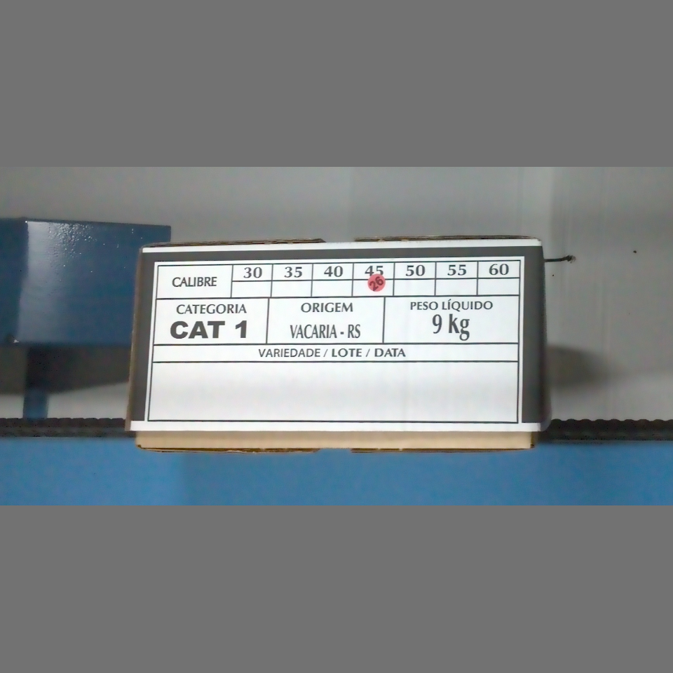 Candidata do calibre · central · 960 utilizado na inferência
