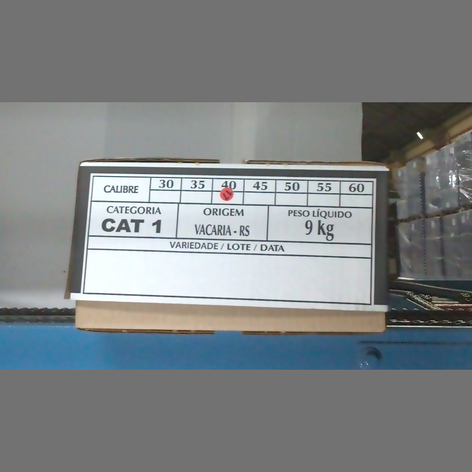 Candidata do calibre · central · 960 utilizado na inferência