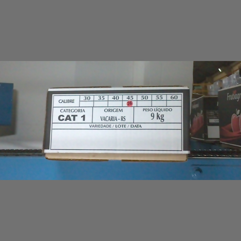 Candidata do calibre · central · 960 utilizado na inferência