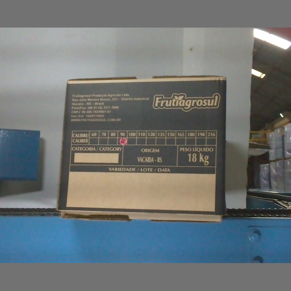 Candidata do calibre · central · 960 utilizado na inferência