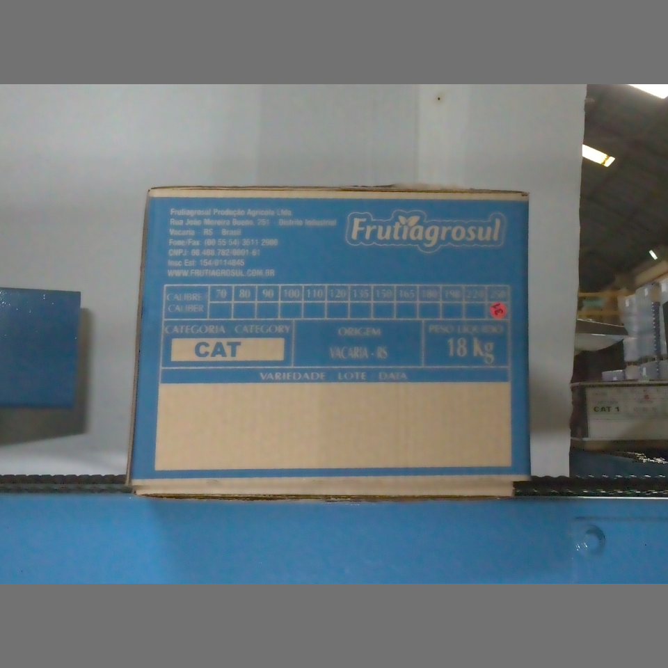 Candidata do calibre · central · 960 utilizado na inferência