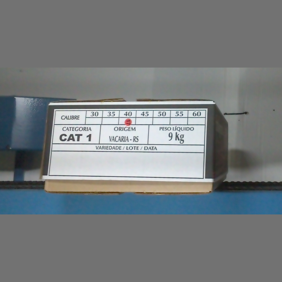 Candidata do calibre · central · 960 utilizado na inferência