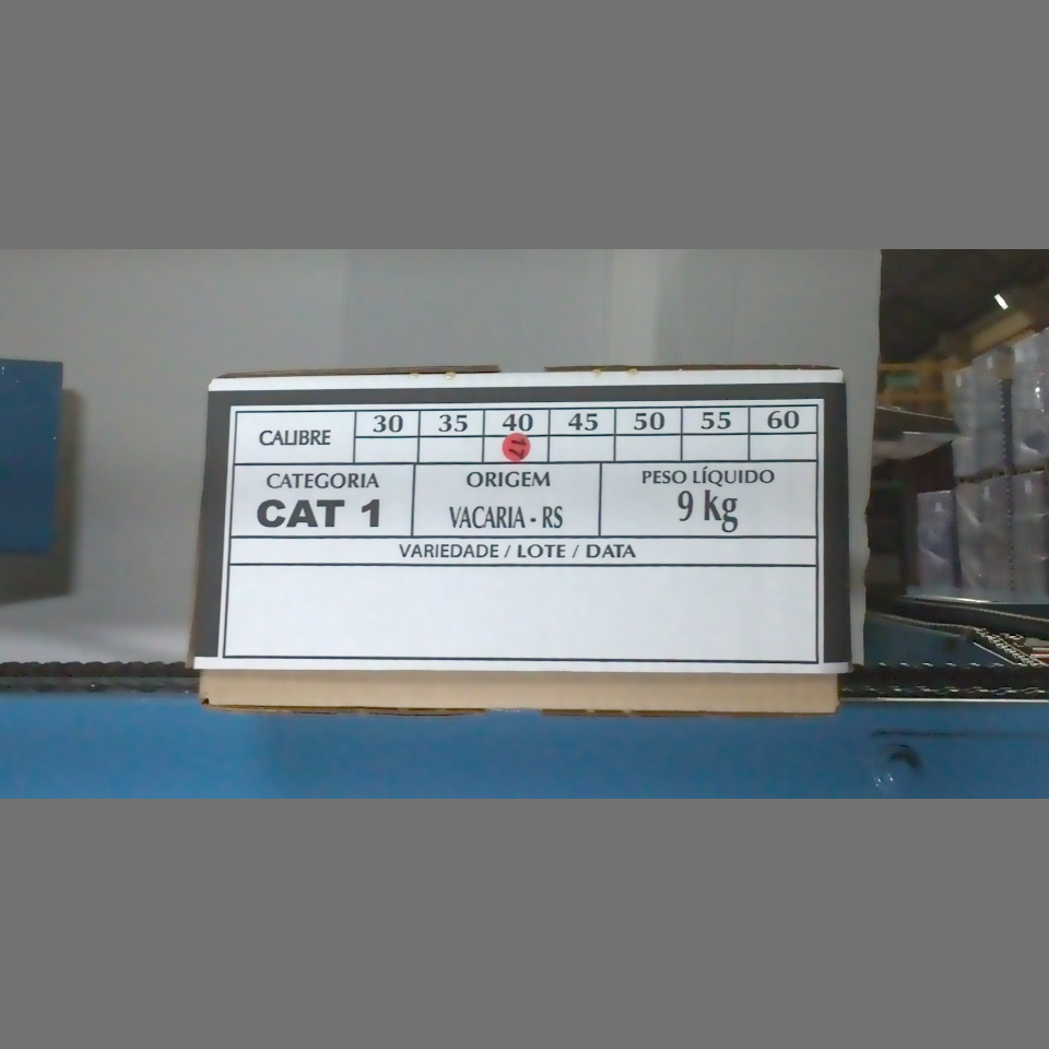 Candidata do calibre · central · 960 utilizado na inferência