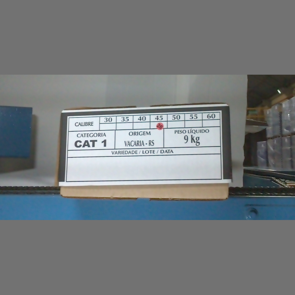 Candidata do calibre · central · 960 utilizado na inferência