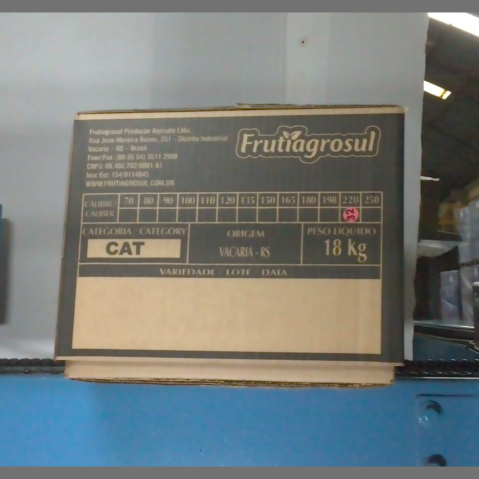 Candidata do calibre · central · 960 utilizado na inferência