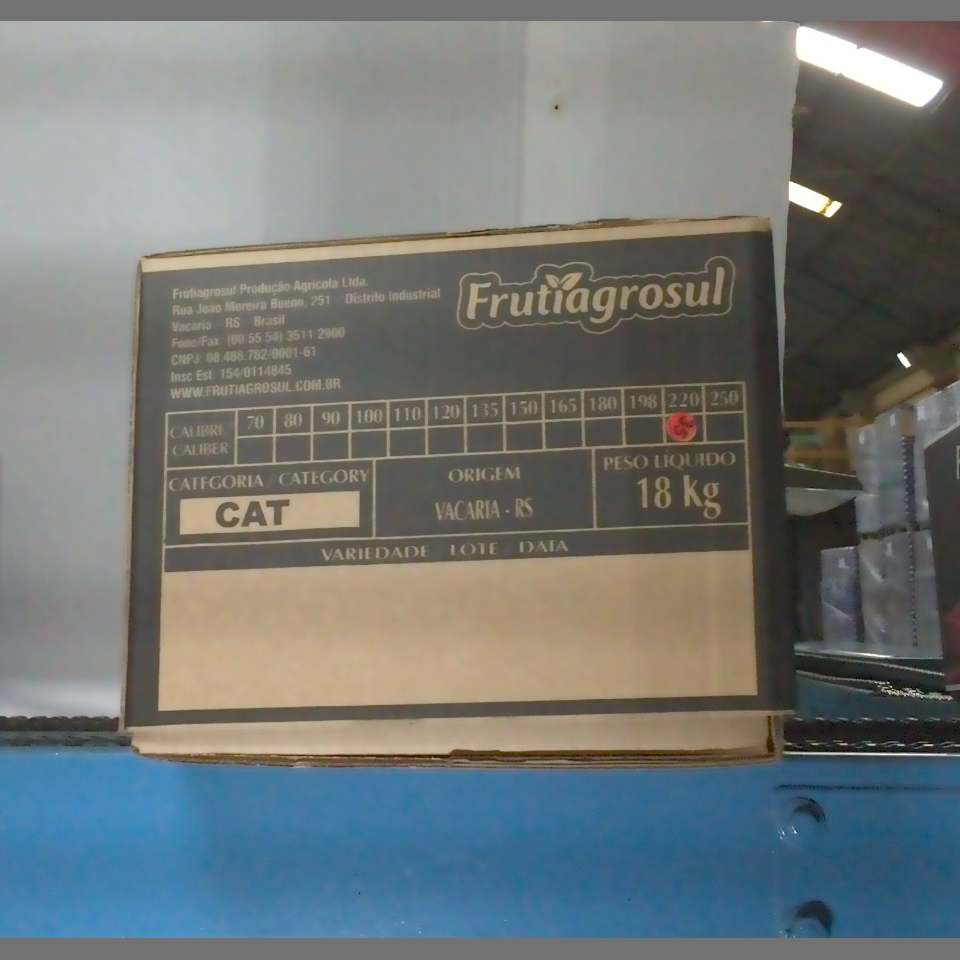 Candidata do calibre · central · 960 utilizado na inferência