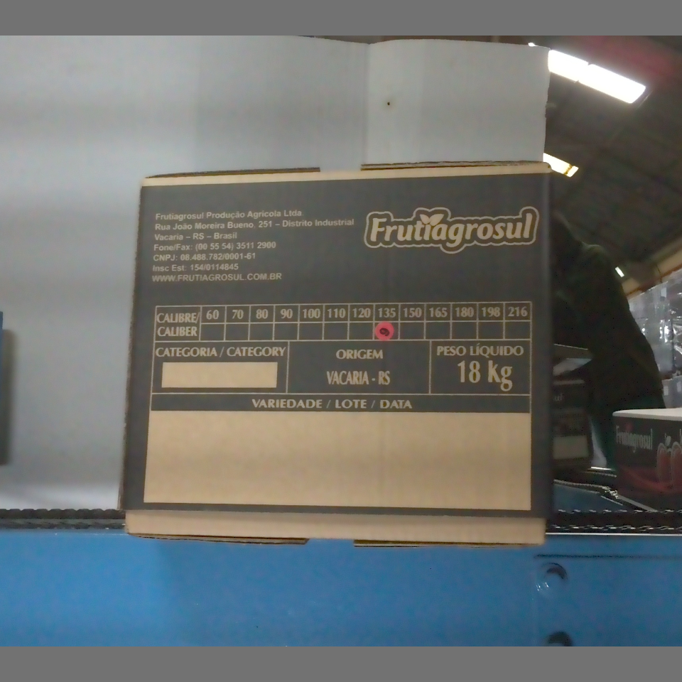 Candidata do calibre · central · 960 utilizado na inferência