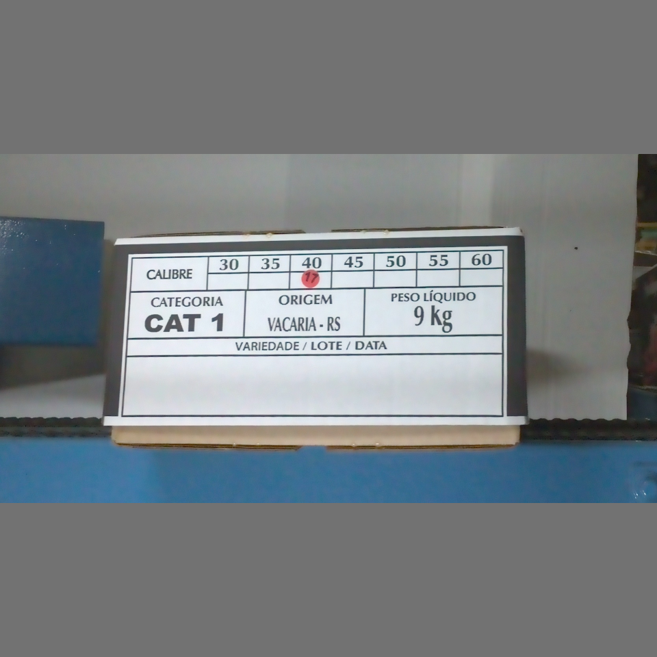 Candidata do calibre · central · 960 utilizado na inferência
