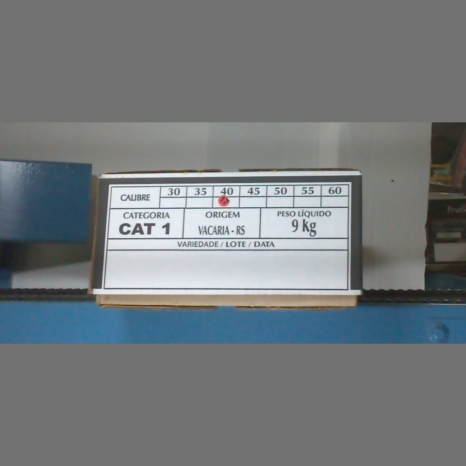 Candidata do calibre · central · 960 utilizado na inferência