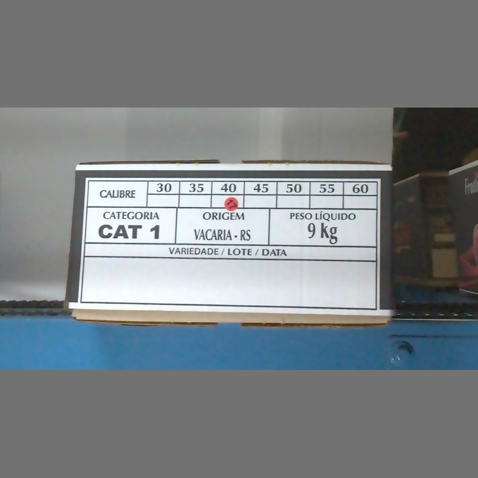 Candidata do calibre · central · 960 utilizado na inferência
