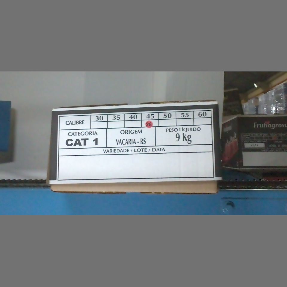 Candidata do calibre · central · 960 utilizado na inferência