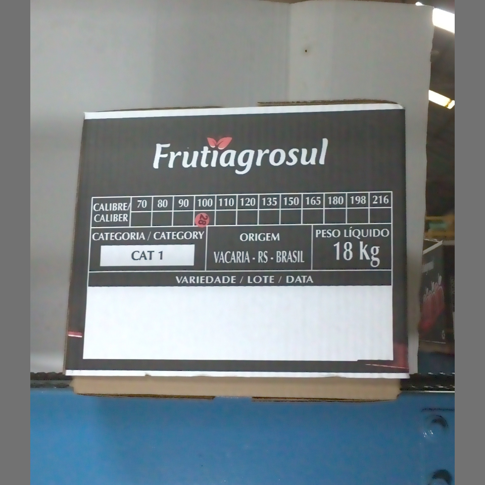 Candidata do calibre · central · 960 utilizado na inferência