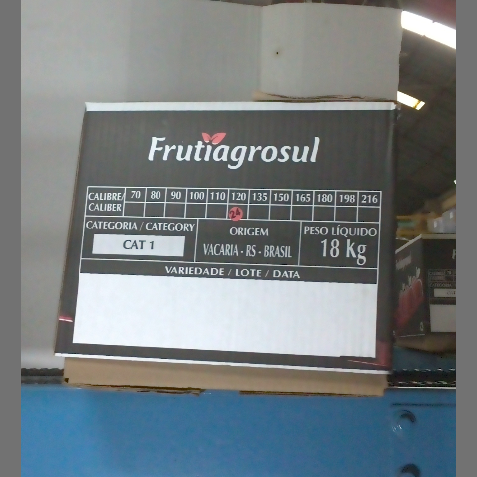 Candidata do calibre · central · 960 utilizado na inferência
