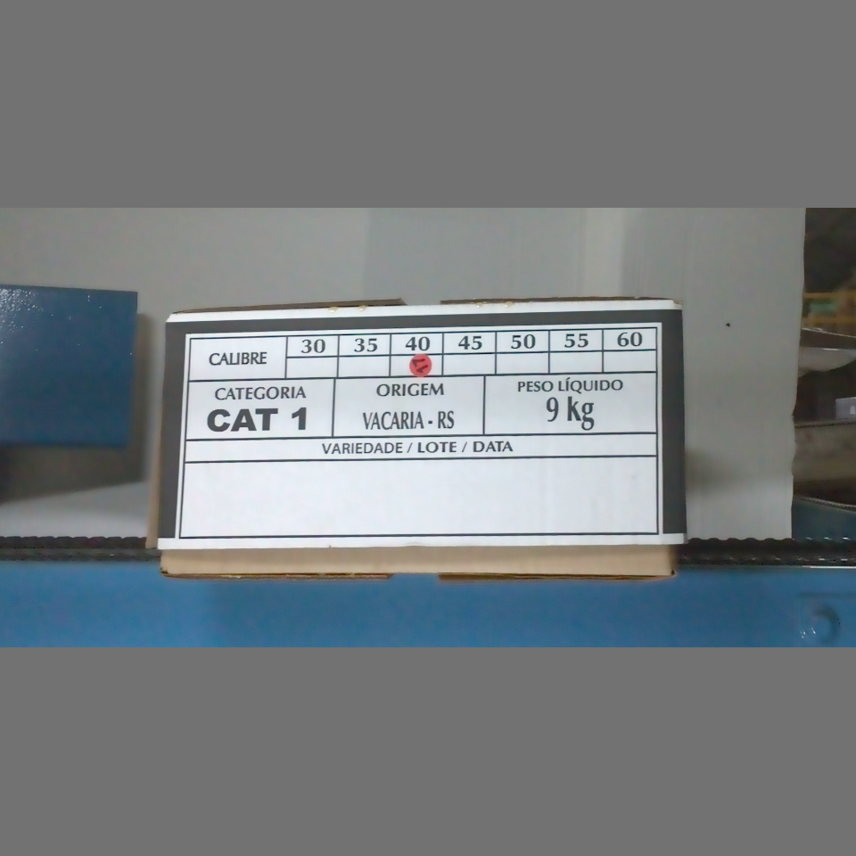 Candidata do calibre · central · 960 utilizado na inferência