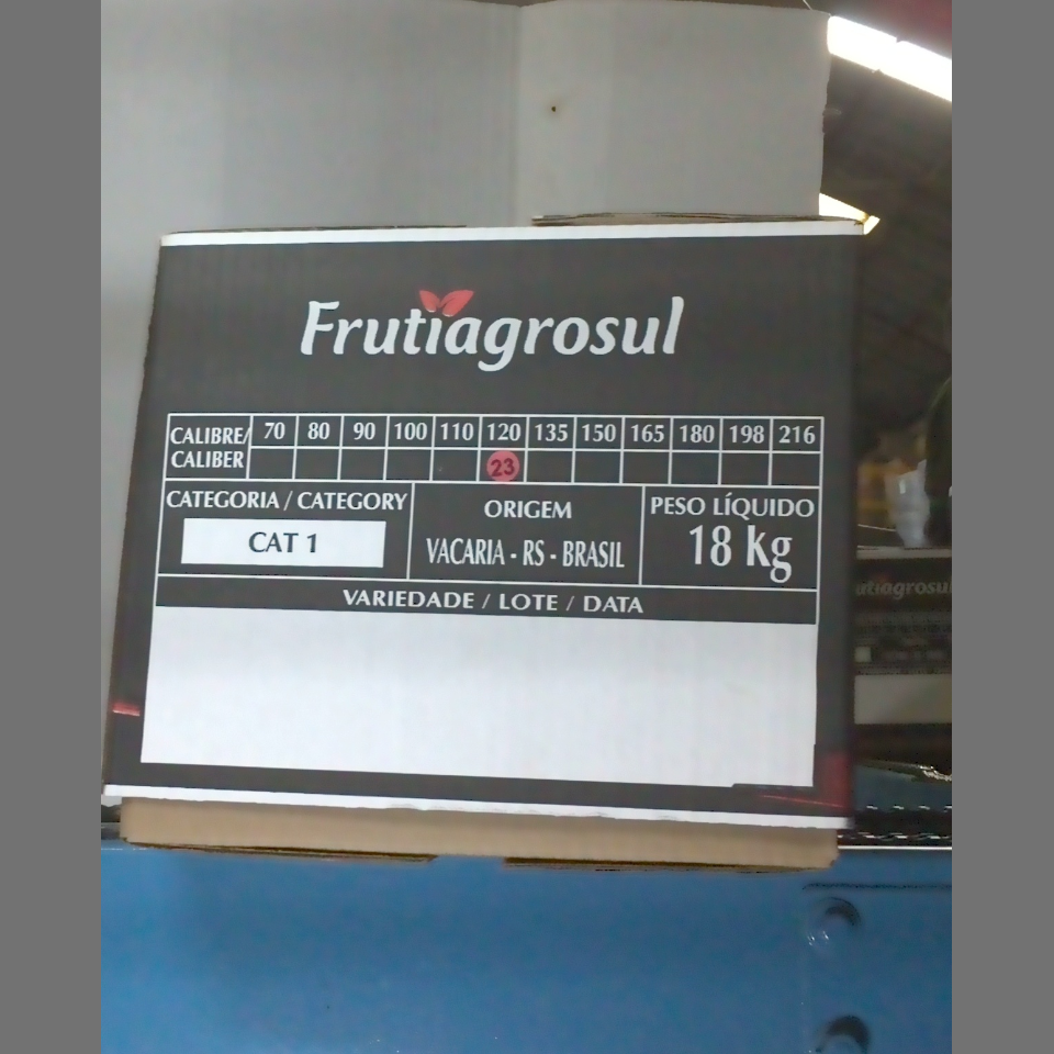 Candidata do calibre · central · 960 utilizado na inferência