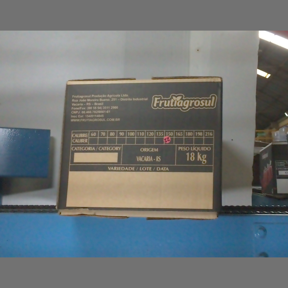 Candidata do calibre · central · 960 utilizado na inferência