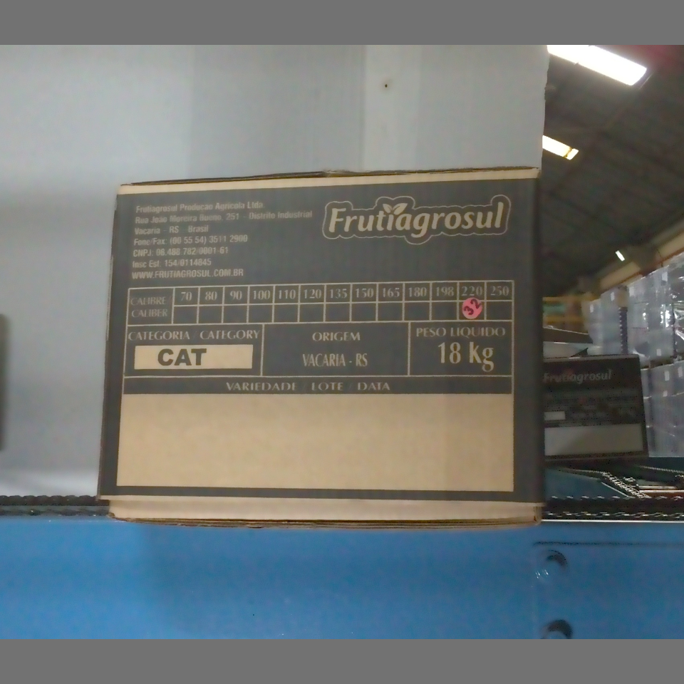 Candidata do calibre · central · 960 utilizado na inferência