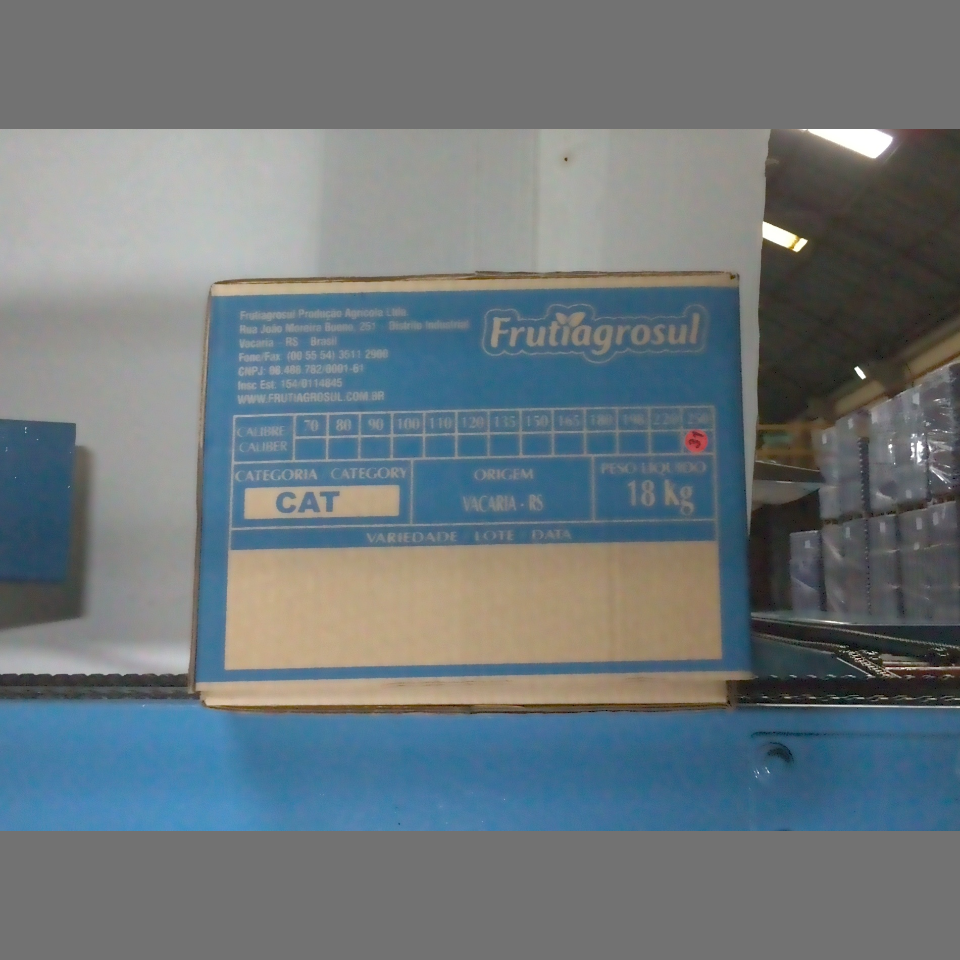 Candidata do calibre · central · 960 utilizado na inferência