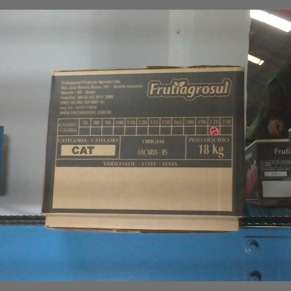 Candidata do calibre · central · 960 utilizado na inferência