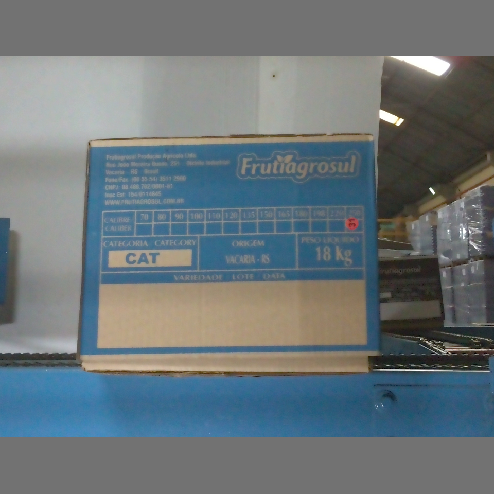 Candidata do calibre · central · 960 utilizado na inferência