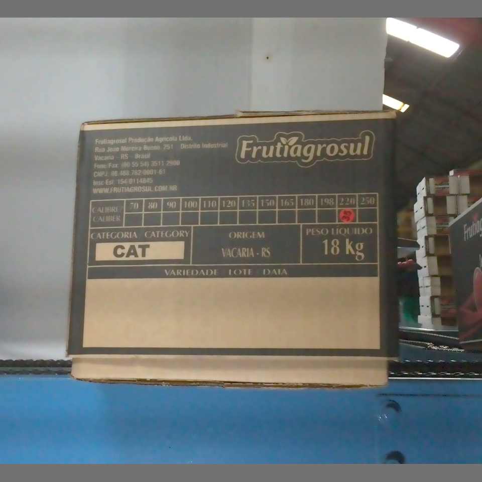 Candidata do calibre · central · 960 utilizado na inferência