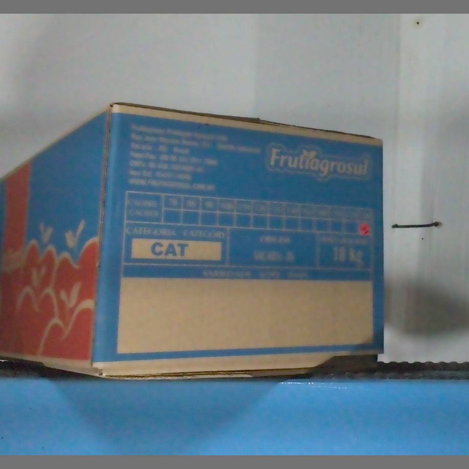 Candidata do calibre · central · 960 utilizado na inferência